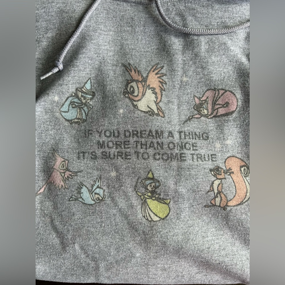 Sleeping Beauty, three good fairies hooded sweatshirt